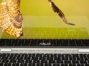 Best Chromebooks Linux 2021 (Tested)