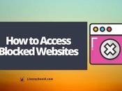 Access Blocked Websites