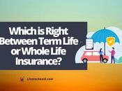 Which Right Between Term Life Whole Insurance?