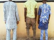 Photo Three Nabbed Burglary, Theft NSCDC Osun