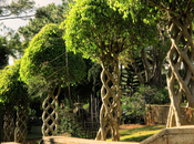 Hashgraph Market 2022 Demand, Opportunities ,Size Forecast 2027