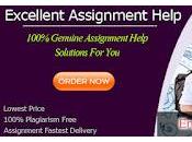 Engineering Assignment Help Have Large Team Professional Writer Handle Types Works