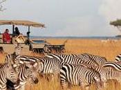 Choose Right Safari Destination