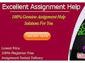 Marketing Assignment Help From Business Management Writing Experts Australia