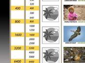 Chart Exposure Cheat Sheet