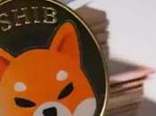 Shiba Coin This Call? What Price Expect Year?