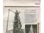 Trafalgar Square Christmas Tree Thank Being Thankful, Norway