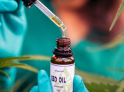 Safe During Pregnancy?