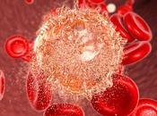 Hematopoietic Stem Cell Transplantation (HSCT) Market Growth Statistics,Size, SWOT Analysis, Forthcoming Developments, Upcoming Investments Forecast 2027