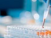 Enzyme Linked Immunosorbent Assay (ELISA) Market Size 2021 Global Trend, Share, Segmentation, Business Growth, Players Analysis, Opportunities Forecast 2025