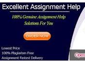 Redeem Their Grades Students Take Assistance From Operation Management Assignment Help