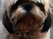 Cannot Eyes Understand Word Finance Shih