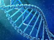 Aptamers Market Product Type Application, Analysis, Trends, Size, Share Forecast 2019-2027