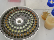 Global Liquid Chromatography Market, Forecast 2018 2026