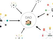 DAOs Legit? What Crypto DAO? Does Make Money? Best DAOS
