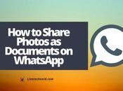 Share Photos Documents WhatsApp