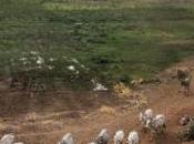 Police Recover Herder’s Corpse Arrest Suspect Kwara