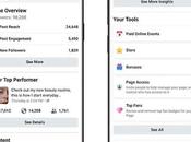 Professional Mode Facebook Profiles: What