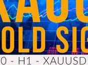 Xauusd Major Trend Signals Live Gold Spot Market Forecast