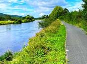 Trail Seven: Mullinavat Carrick Suir