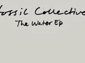 Fossil Collective Water (Stream)