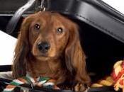 Making Arrangements Your When You’re Away