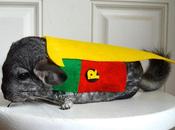 Superhero Rodents Rescue