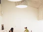 Renovating Maximize Light