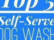 Self Serve Wash Locations