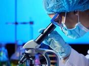 Digital Microscopes Market Global Industry Analysis, Size, Share, Growth, Trends, Forecast 2020 2027