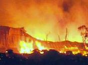 Fire Damage Property Negligence Peril