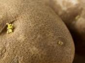 Everything Need Know About Potato Chitting