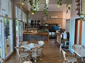 Cafe Market Share Growing Rapidly with Development, Recent Trends, Revenue Forecast 2019 2027