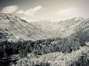 Lamoille Canyon—V, Much More