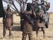 Boko Haram Fighters Establish Markets Borno