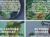 Different Types Japanese Noodles (with Recipes!)