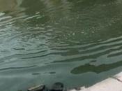 Lady House-hunting Shares Video House Asked Inspect Lagos (Video)