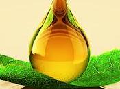 Biolubricants Market Size, Share, Growth, Opportunities, Global Analysis Opportunity Assessment 2019 2027