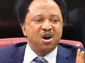 Shehu Sani Reacts Sunday Igboho’s Detention Extended Months