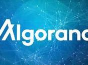 Algorand Blockchain Future ALGO Price Peaking?
