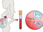 Non-invasive Prenatal Testing (NIPT) Market Size, Share, Global Analysis Opportunity Assessment 2020-2027