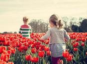 Free Best Sellers Gardening Horticulture Flowers eBooks