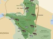 Best Time Great Wildebeest Migration