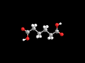 Adipic Acid Market Share, Growth, Opportunitites, Analysis, Trends, Size, Forecasts 2025