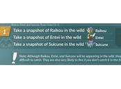 Pokemon Tour Johto Research (Images Data)