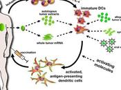 Dendritic Cell Tumor Cancer Vaccines Trials Showing Encouraging Results That Could Lead Potential Treatment