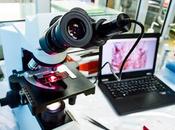 Digital Pathology Market Product Type, Use, Applications, Global Analysis, Size, Share, Growth, Trends, Forecast 2019 2027