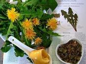 Free Best Sellers Herbal Remedies eBooks