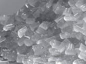 Polyvinylidene Fluoride (PVDF) Market Size, Share, Trends, Business Development, Analysis Opportunities 2025