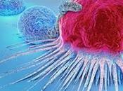 Natural Killer Cells; Play Important Role Innate Immune Responses Infection